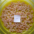 Frozen Pud Red Shrimp Solenocera Melantho para a Espanha